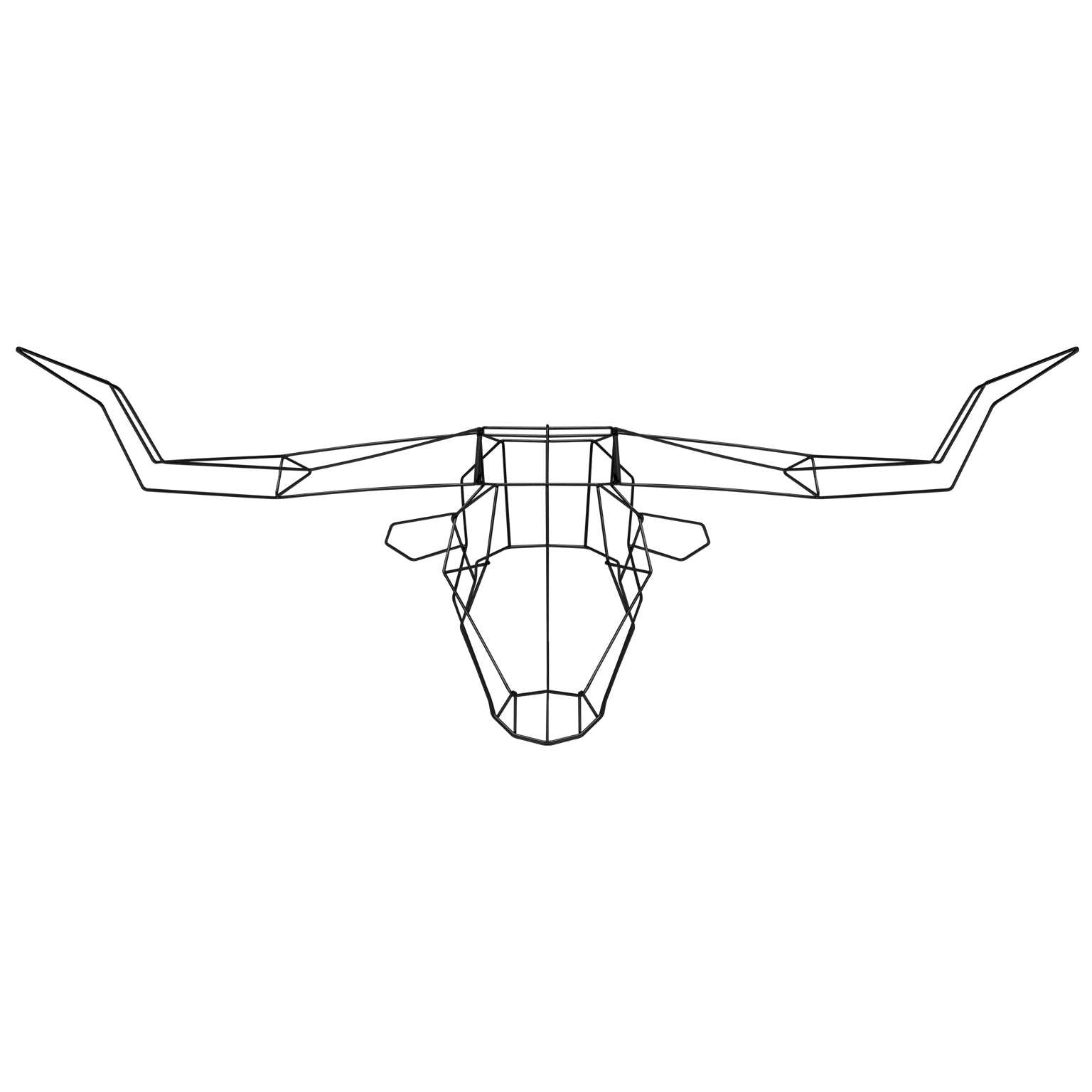 Longhorn