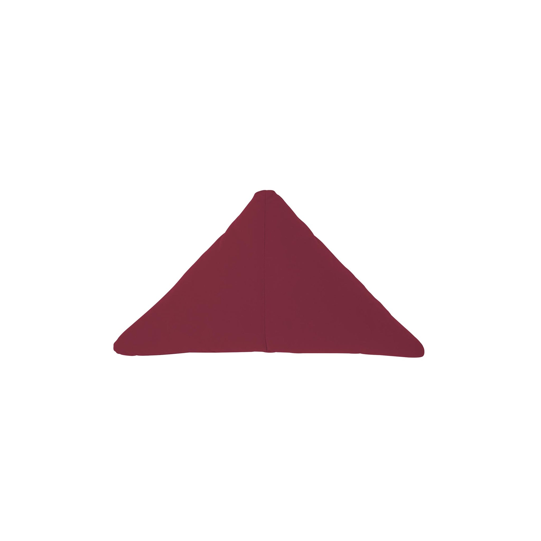 Triangle Throw Pillow