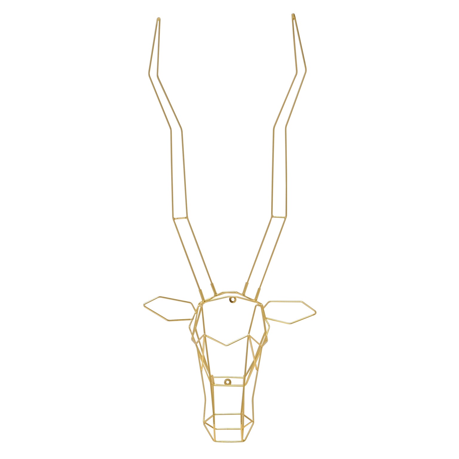 Gazelle