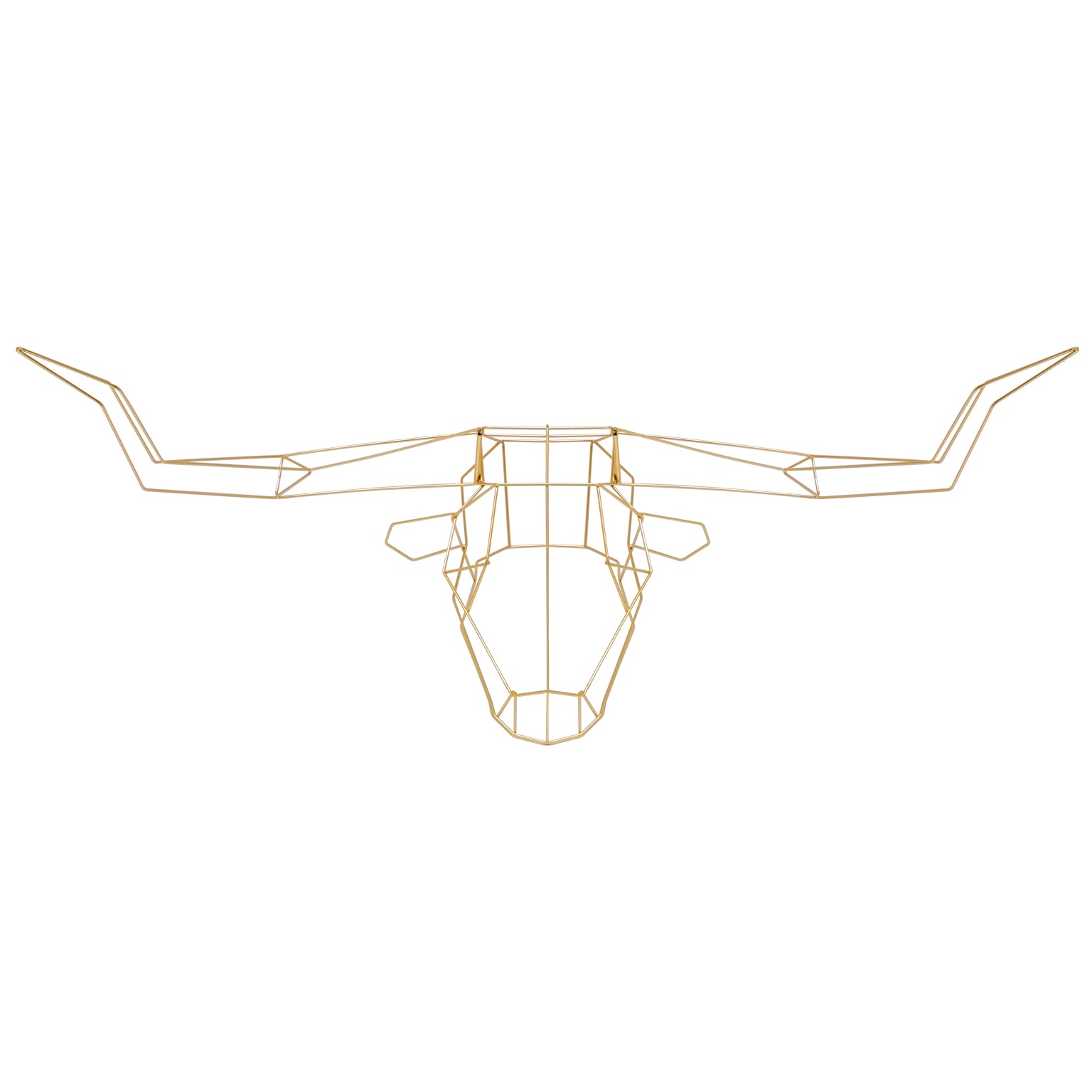 Longhorn