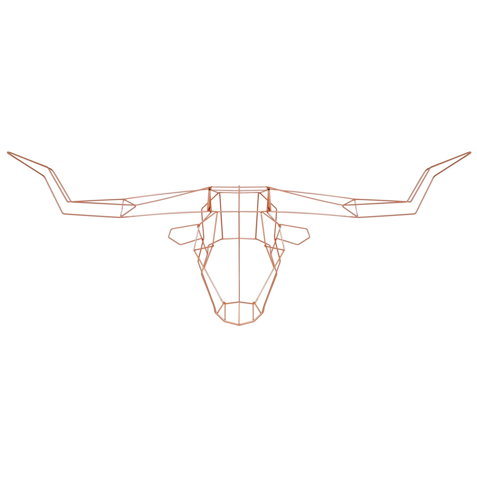 Longhorn