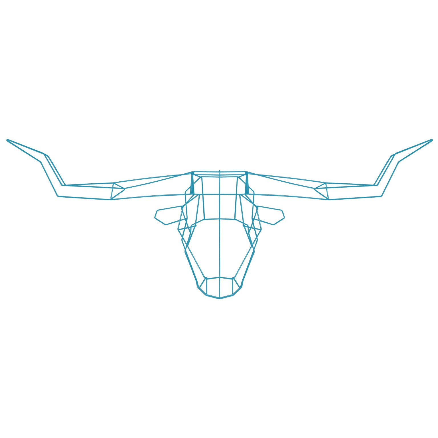 Longhorn