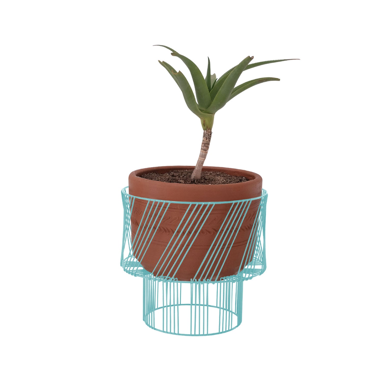 Plant Stand
