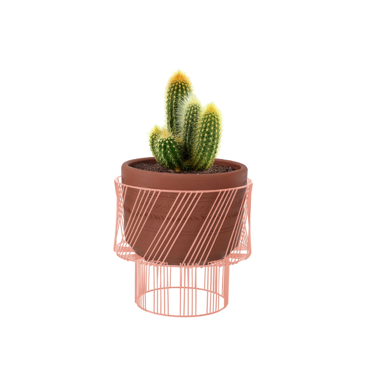 Plant Stand
