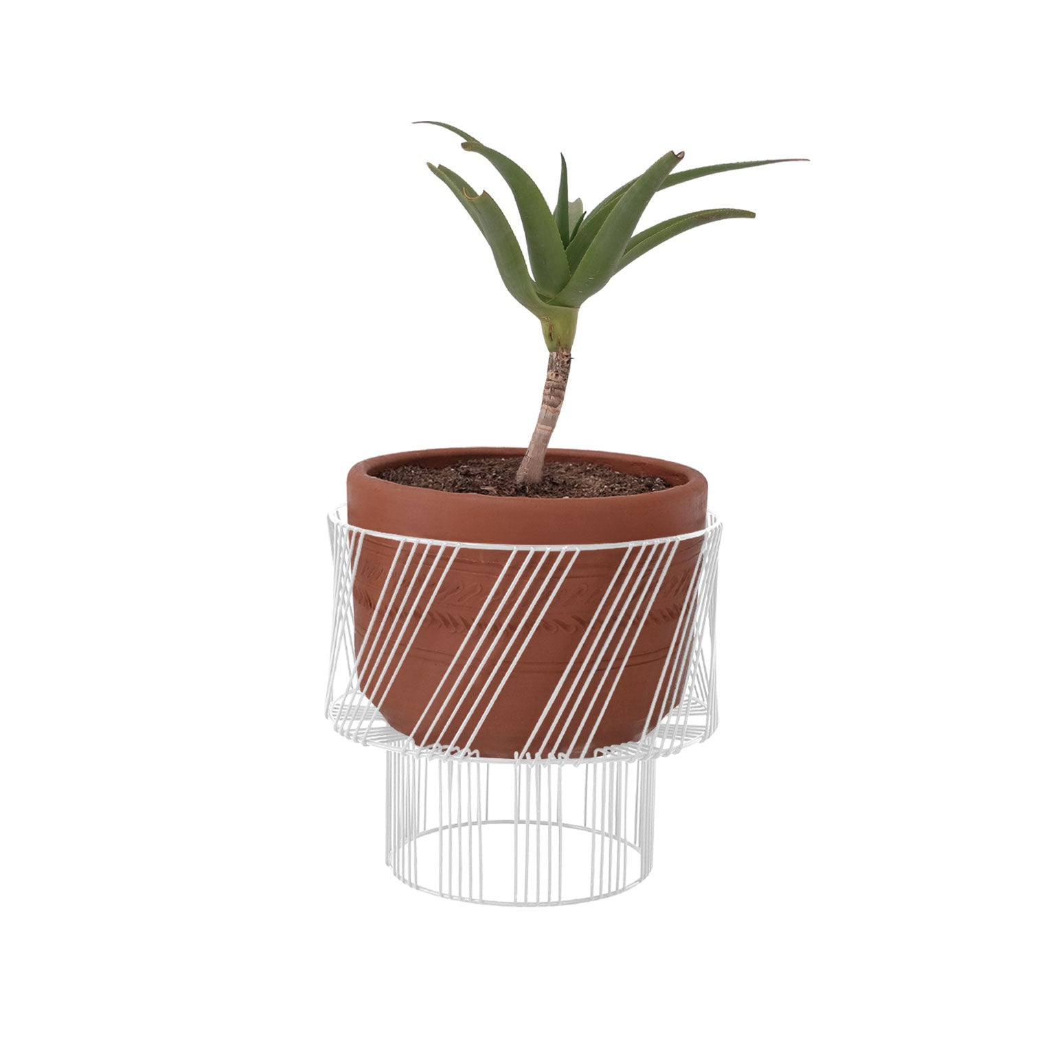 Plant Stand