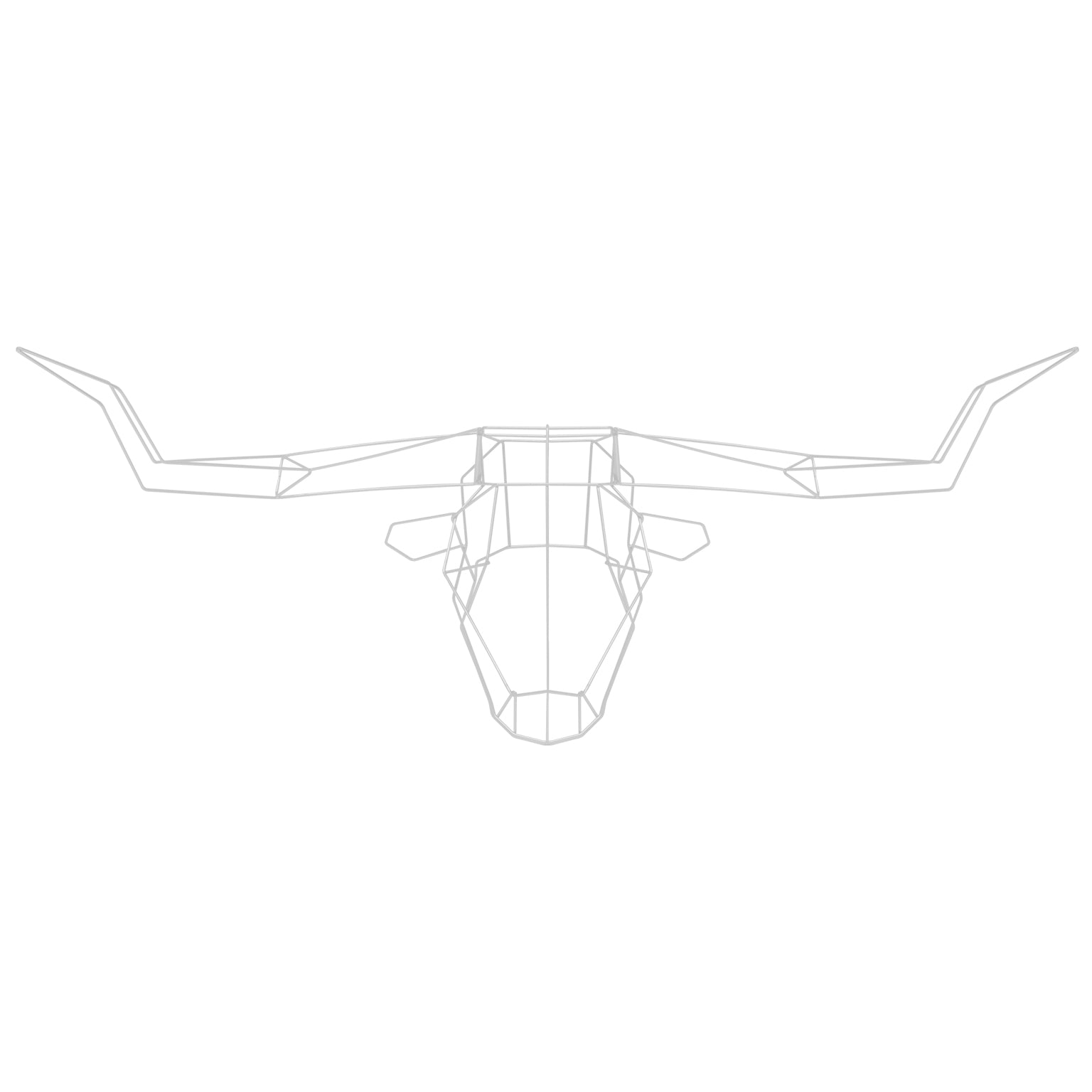 Longhorn